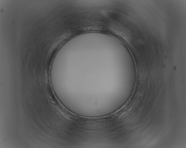 X0000074330729200608251019