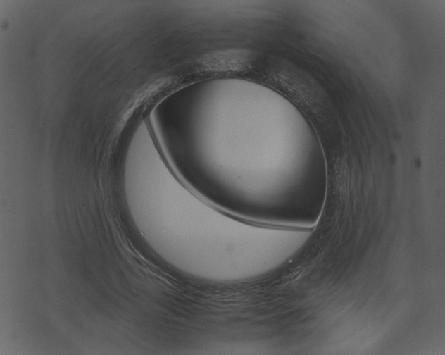 X0000074330731200608251019