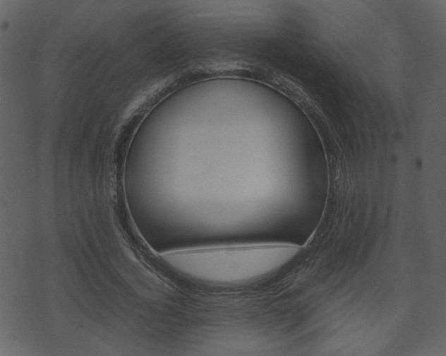 X0000074330732200608251019