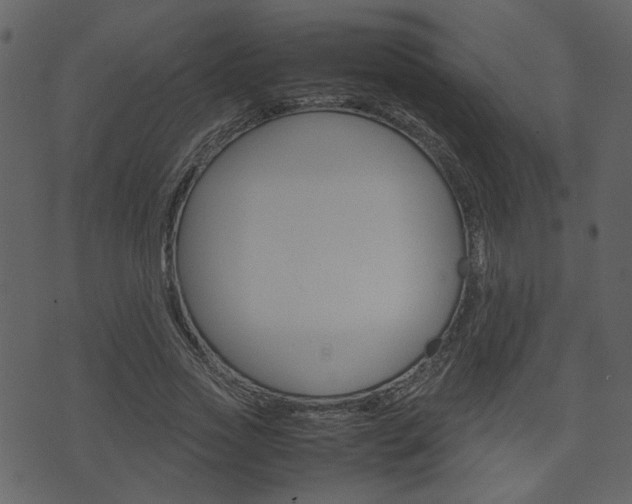 X0000074330733200608251019