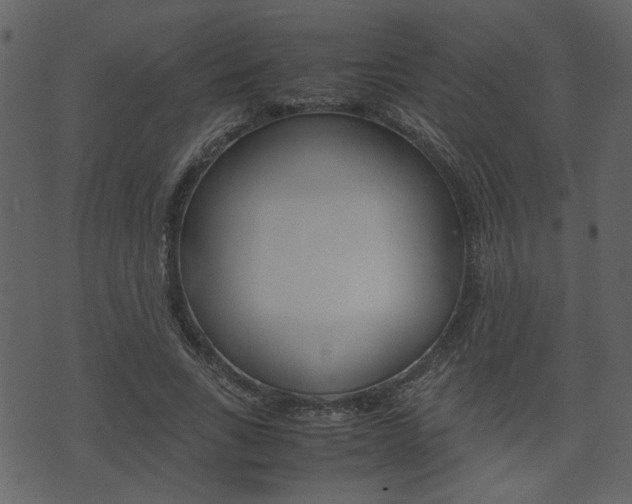 X0000074330735200608251019