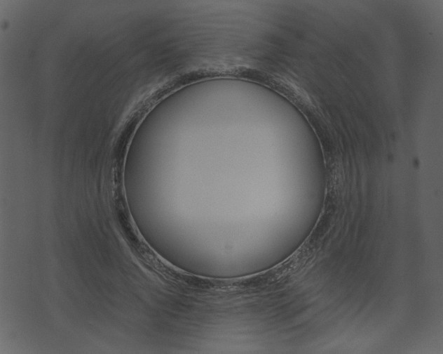 X0000074330736200608251019