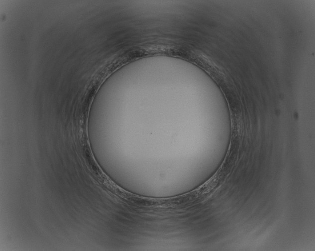 X0000074330737200608251020
