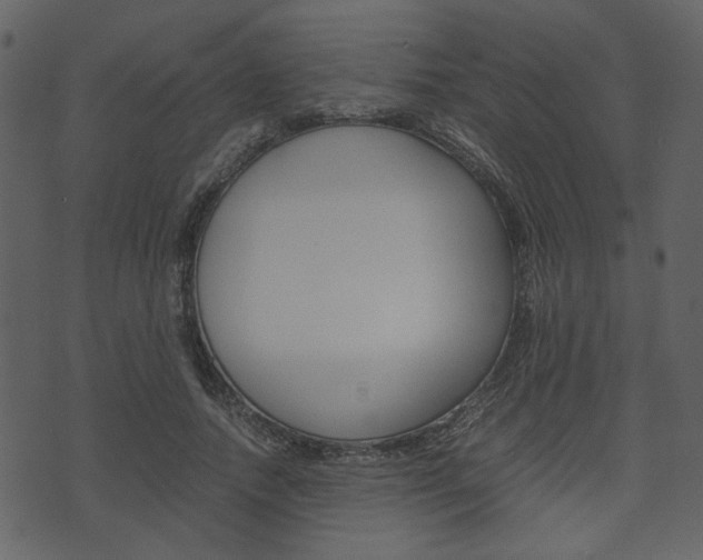 X0000074330738200608251020