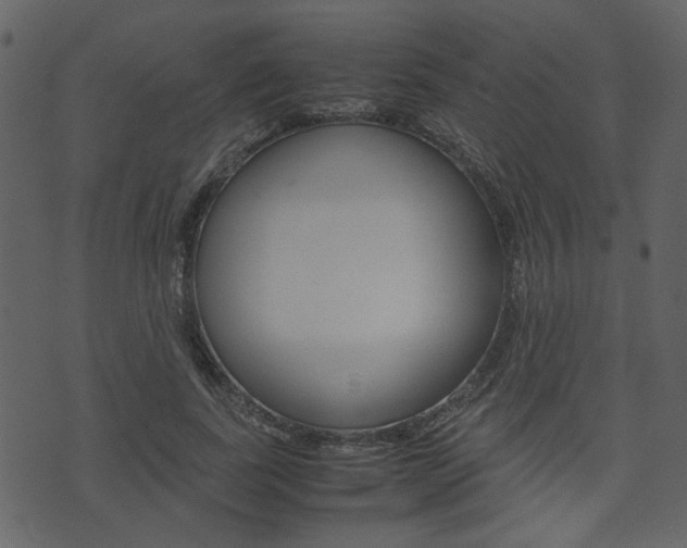 X0000074330739200608251020