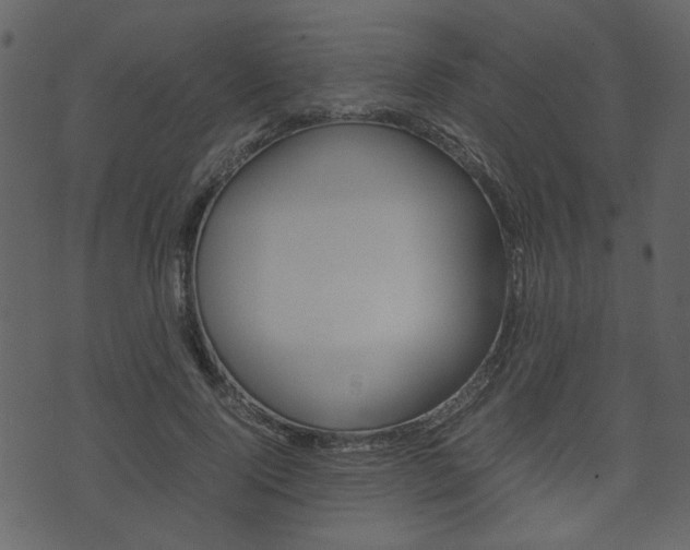 X0000074330740200608251020