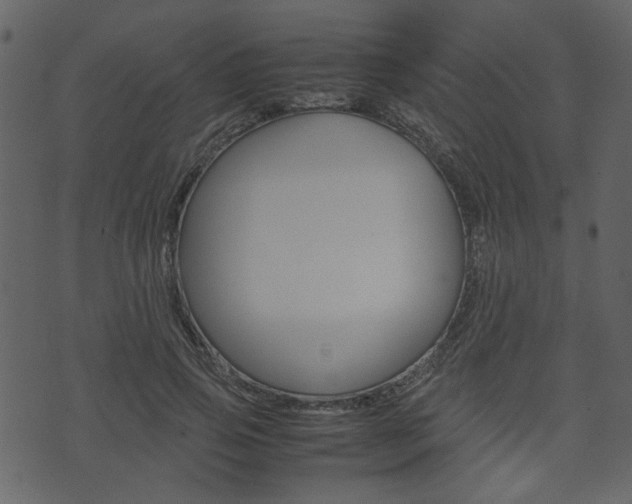 X0000074330741200608251020