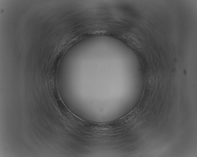 X0000074330743200608251020