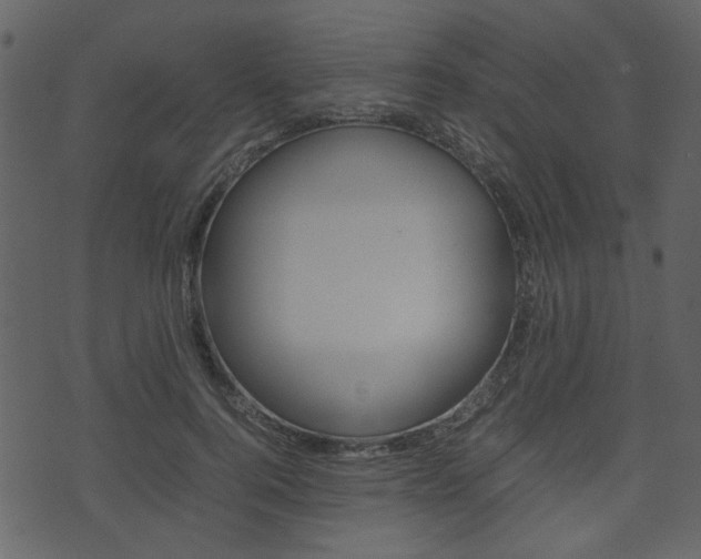 X0000074330744200608251020