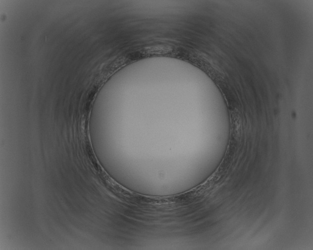X0000074330745200608251020