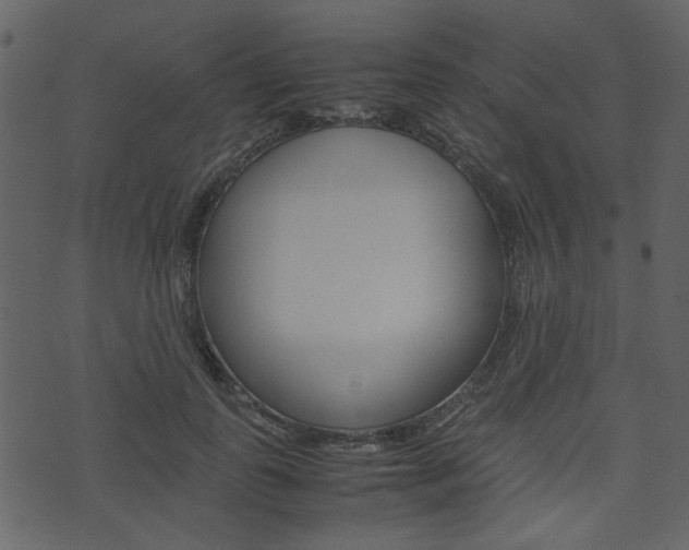 X0000074330747200608251020