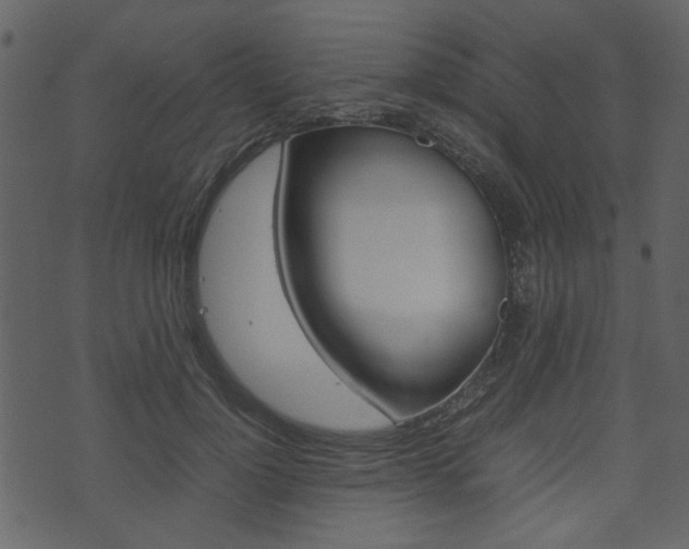 X0000074330748200608251020