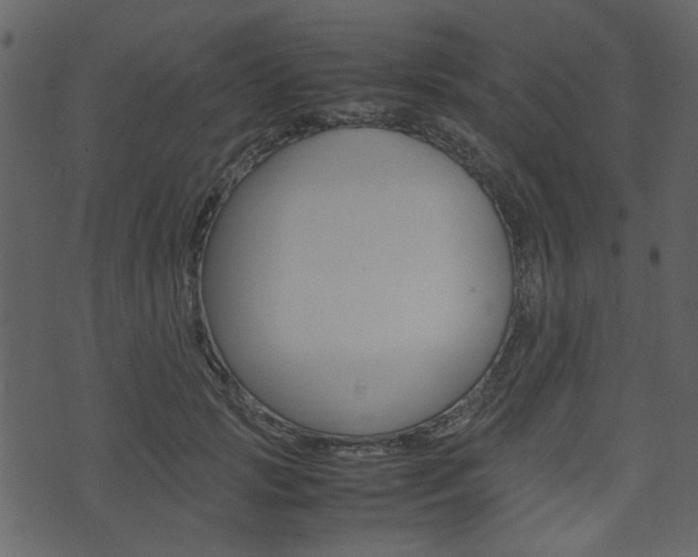 X0000074330749200608251020
