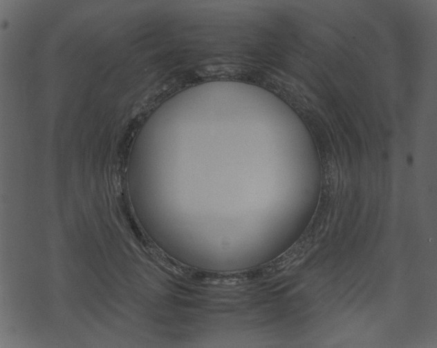 X0000074330751200608251020