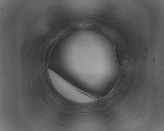 X0000074330752200608251020