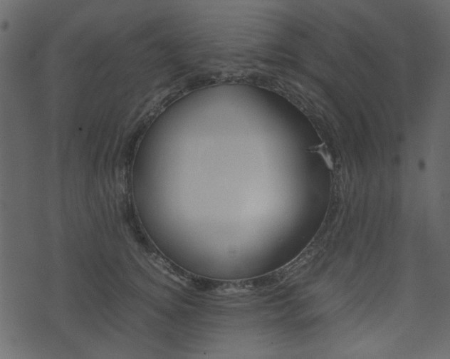 X0000074330756200608251020