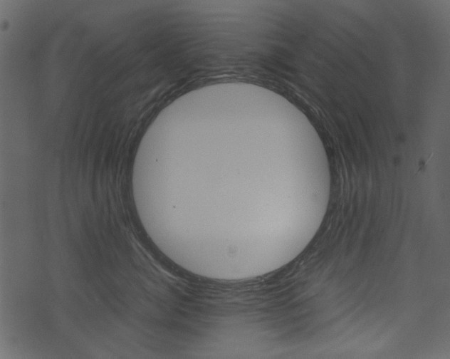 X0000074330764200608251020
