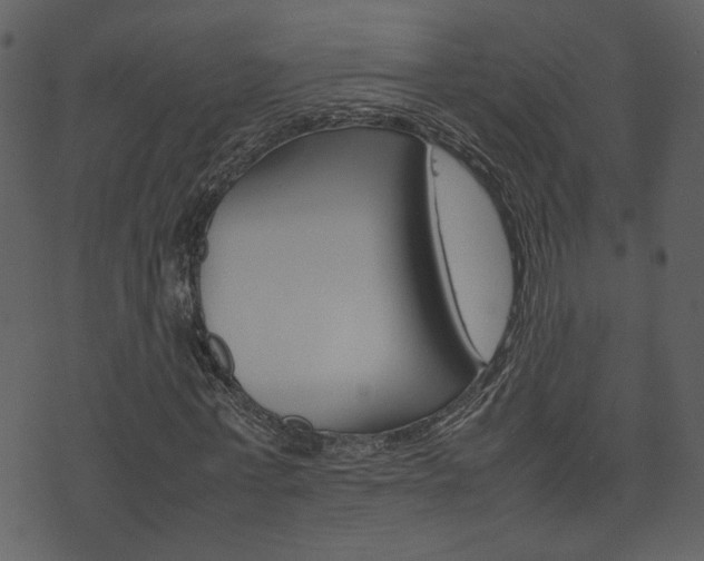 X0000074330771200608251019