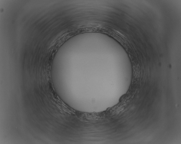 X0000074330774200608251019
