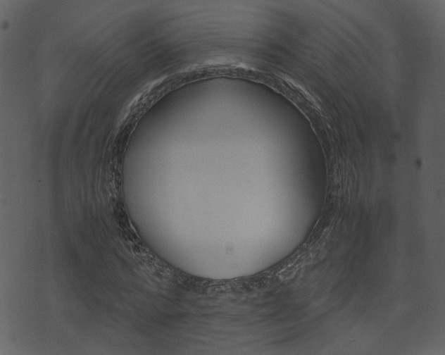 X0000074330776200608251019