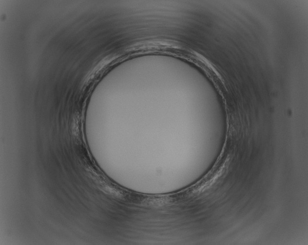 X0000074330778200608251019