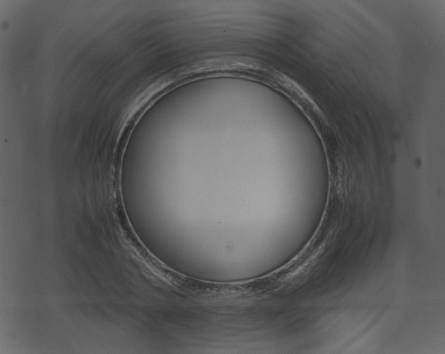 X0000074330786200608251019
