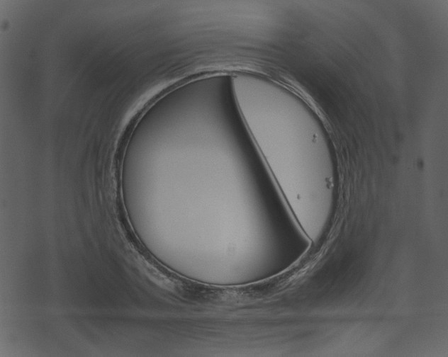 X0000074330787200608251019