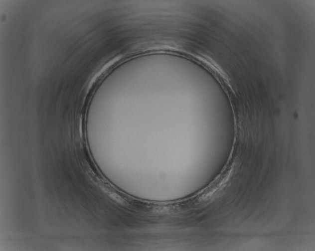 X0000074330790200608251019