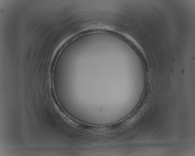 X0000074330791200608251019