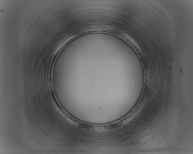 X0000074330794200608251019