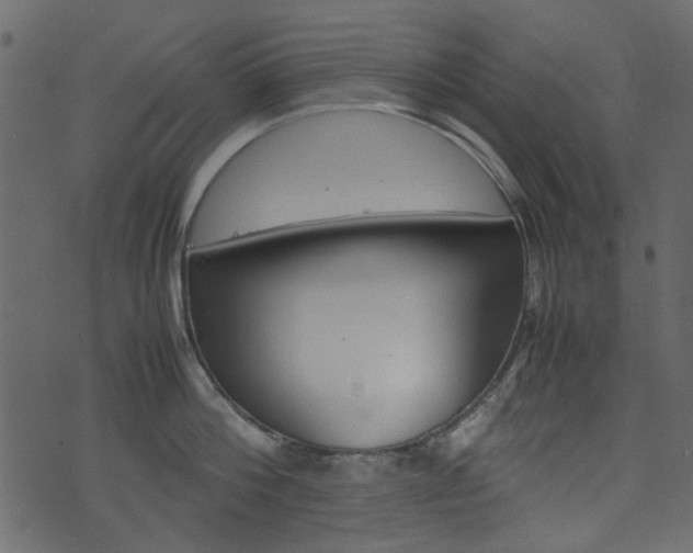 X0000074330812200608251019