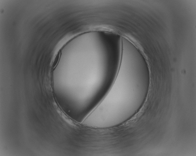 X0000074330816200608251018