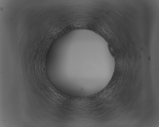 X0000074330817200608251018