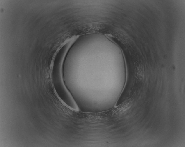 X0000074330818200608251018