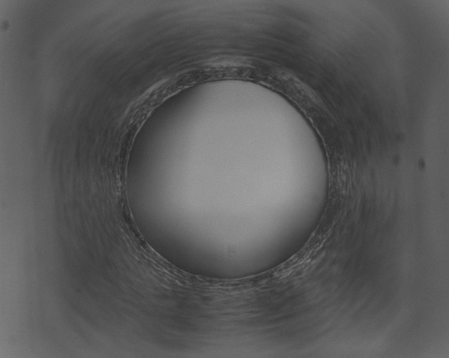 X0000074330821200608251018
