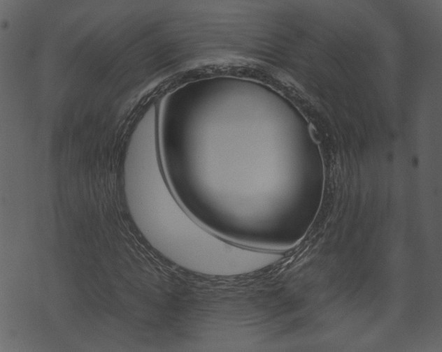 X0000074330822200608251018