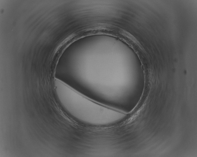 X0000074330826200608251018