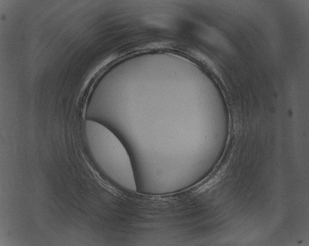 X0000074330827200608251018