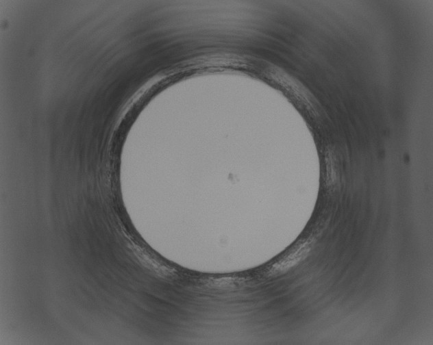 X0000074330828200608251018