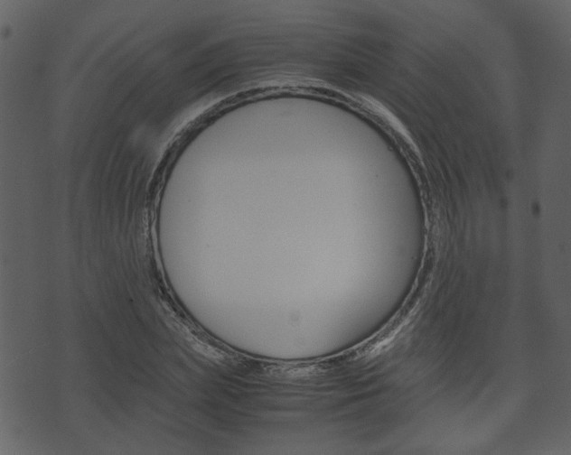 X0000074330831200608251018