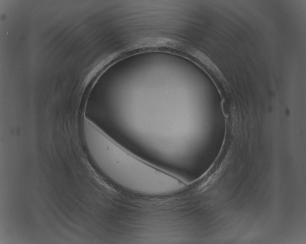 X0000074330834200608251018