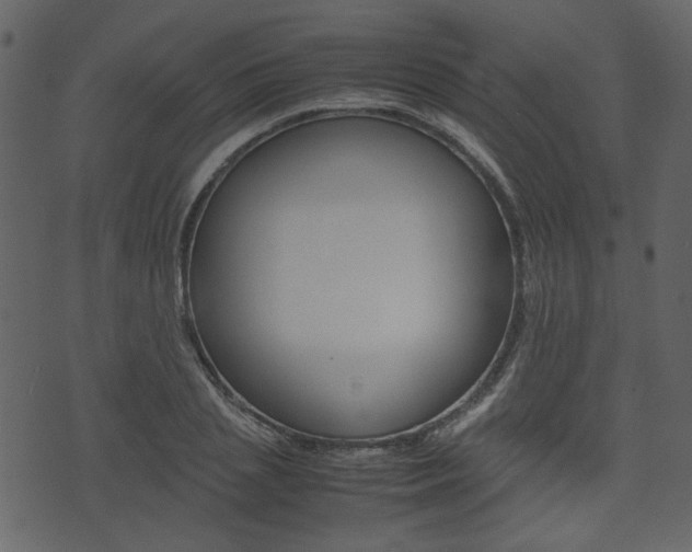 X0000074330837200608251018
