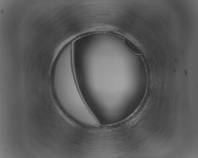 X0000074330838200608251018