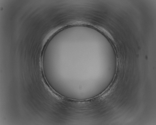 X0000074330839200608251018