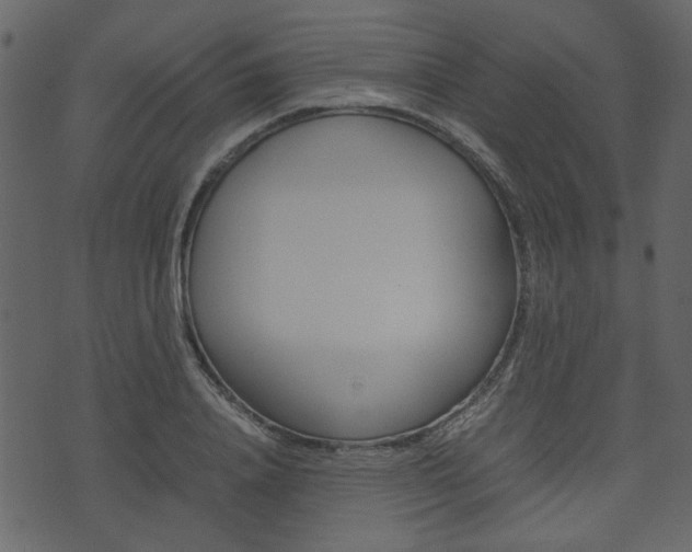 X0000074330840200608251018