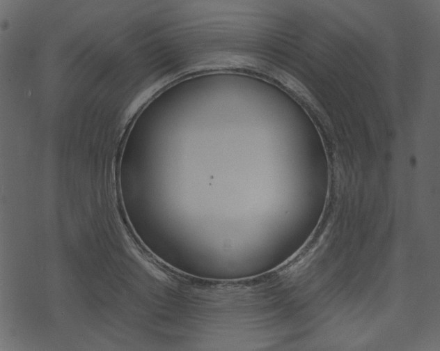 X0000074330842200608251018