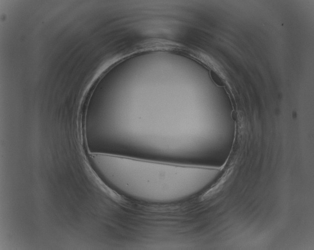X0000074330843200608251018