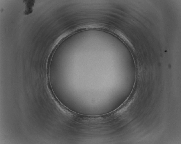 X0000074330845200608251018