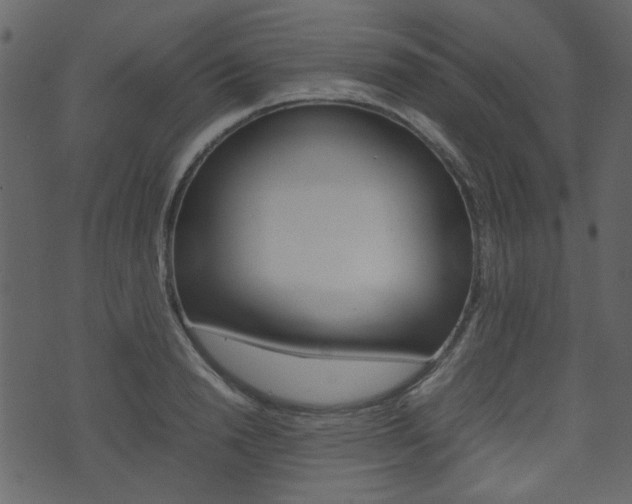 X0000074330846200608251018