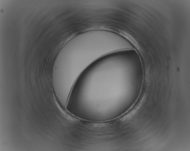 X0000074330849200608251018